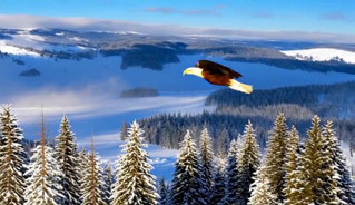 RewardForcing, bird over snowy forest, 1–4 seconds