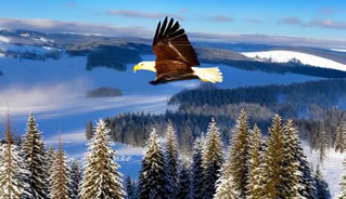 RewardForcing, bird over snowy forest, 5–8 seconds