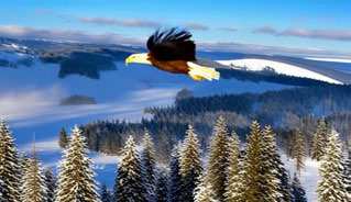 RewardForcing, bird over snowy forest, 9–12 seconds